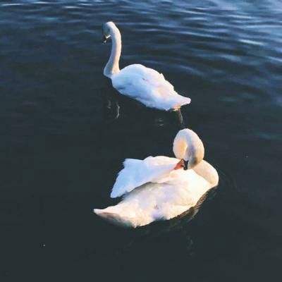 亚搏登入口app截图